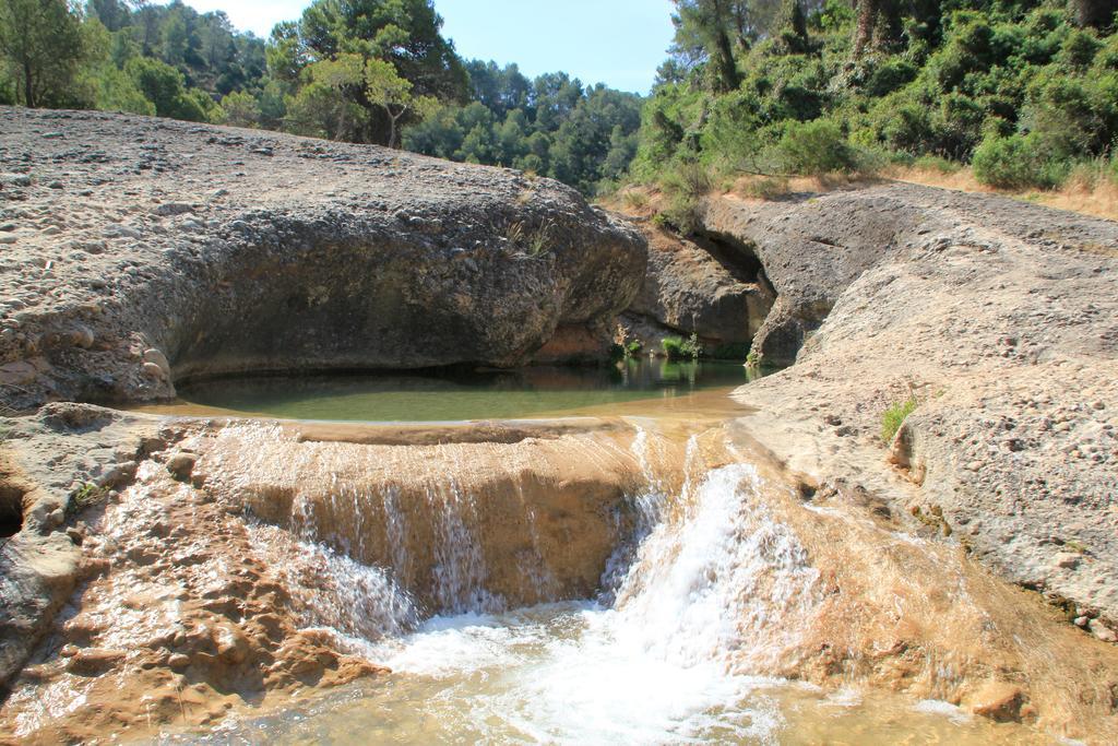 Willa Ca La Leonor, Ecoturisme Terra Alta Bot Pokój zdjęcie